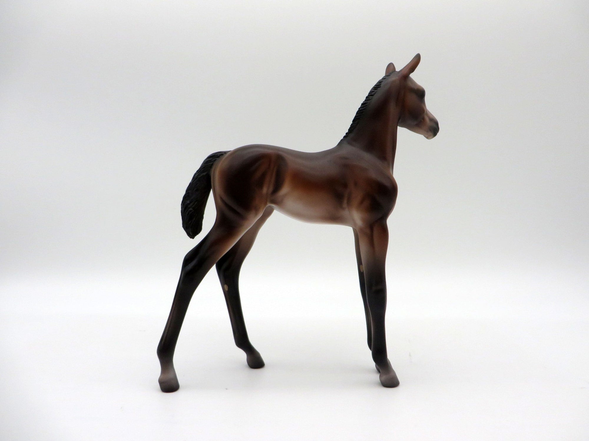 Novato-OOAK Baby Bay Foal Painted by Caroline Boydston 10/18/21