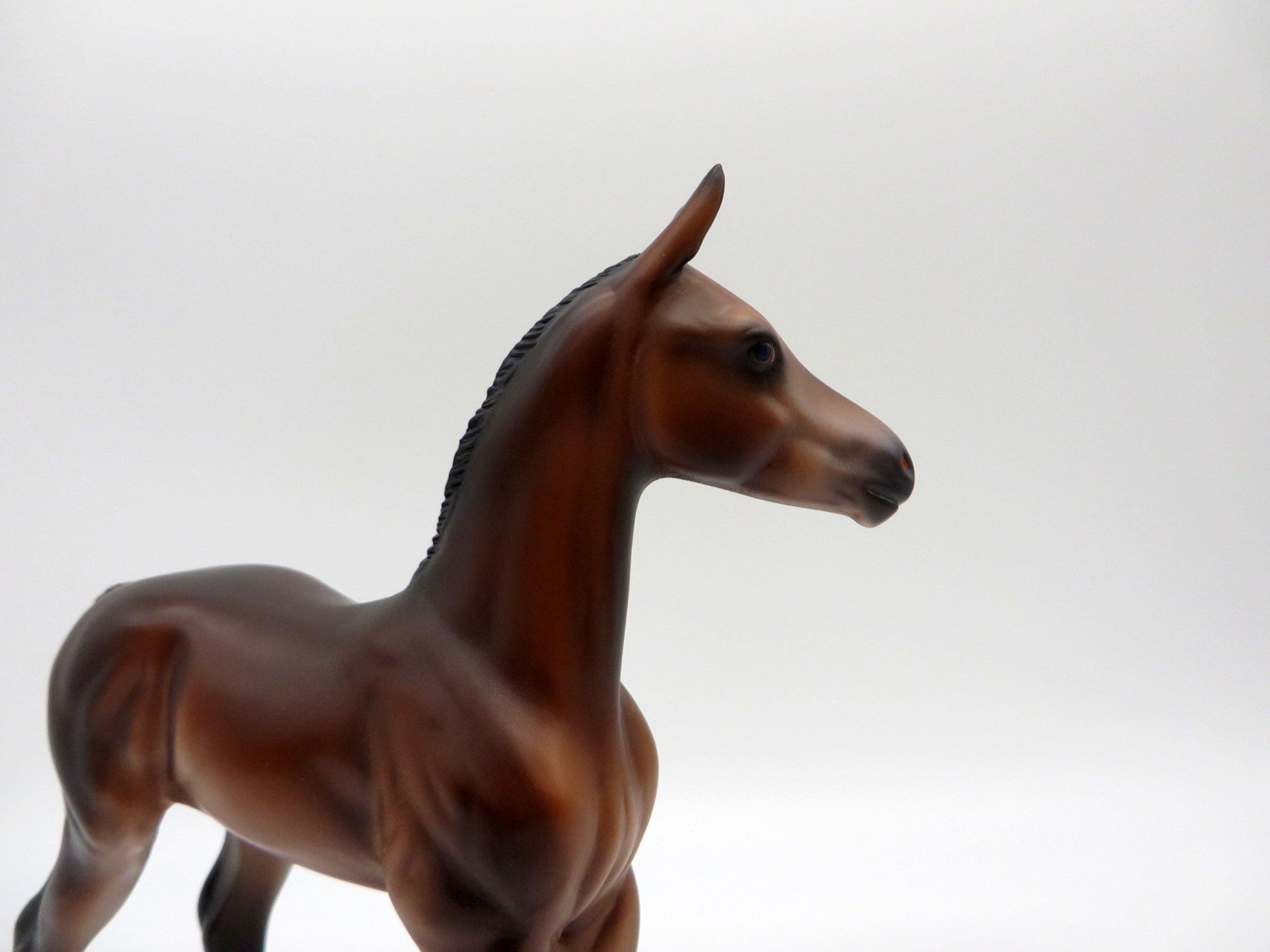 Novato-OOAK Baby Bay Foal Painted by Caroline Boydston 10/18/21