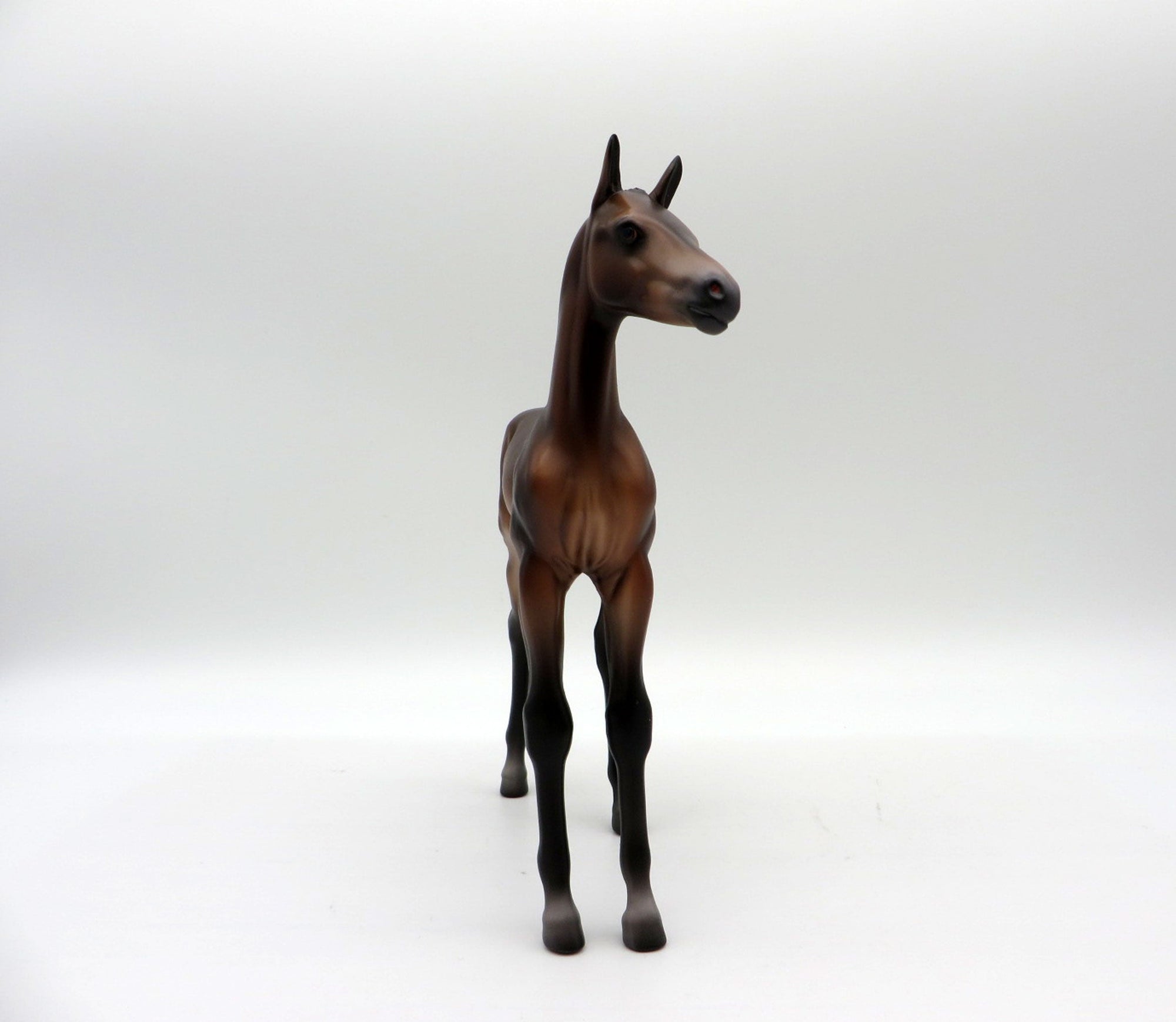 Novato-OOAK Baby Bay Foal Painted by Caroline Boydston 10/18/21