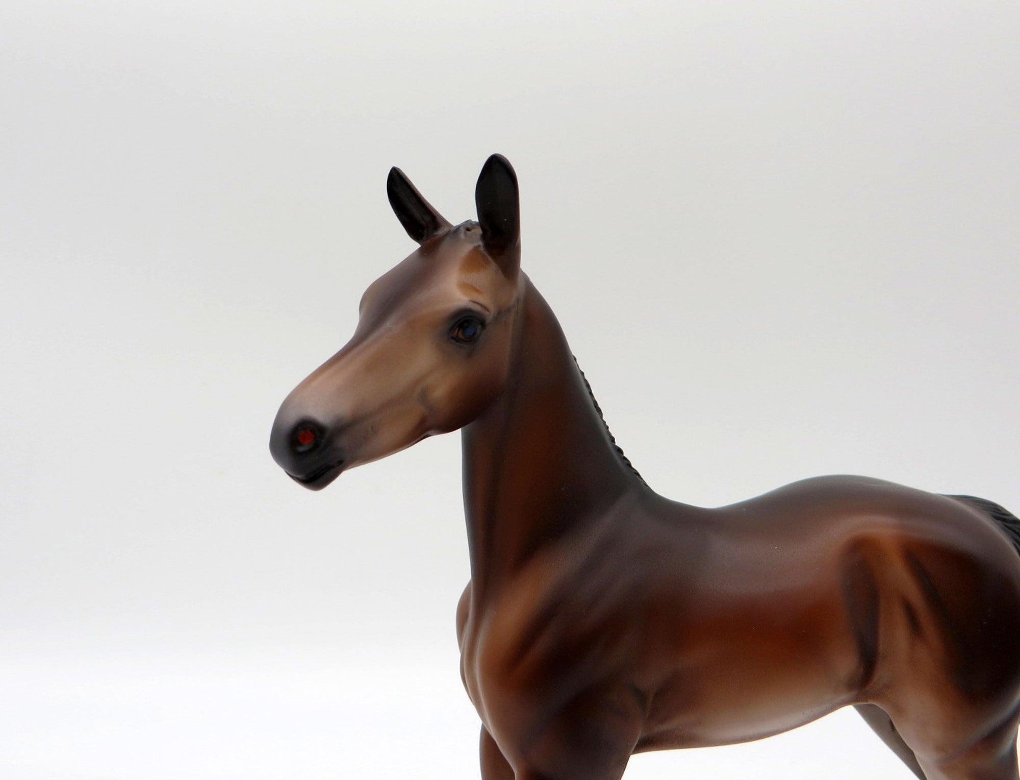 Novato-OOAK Baby Bay Foal Painted by Caroline Boydston 10/18/21