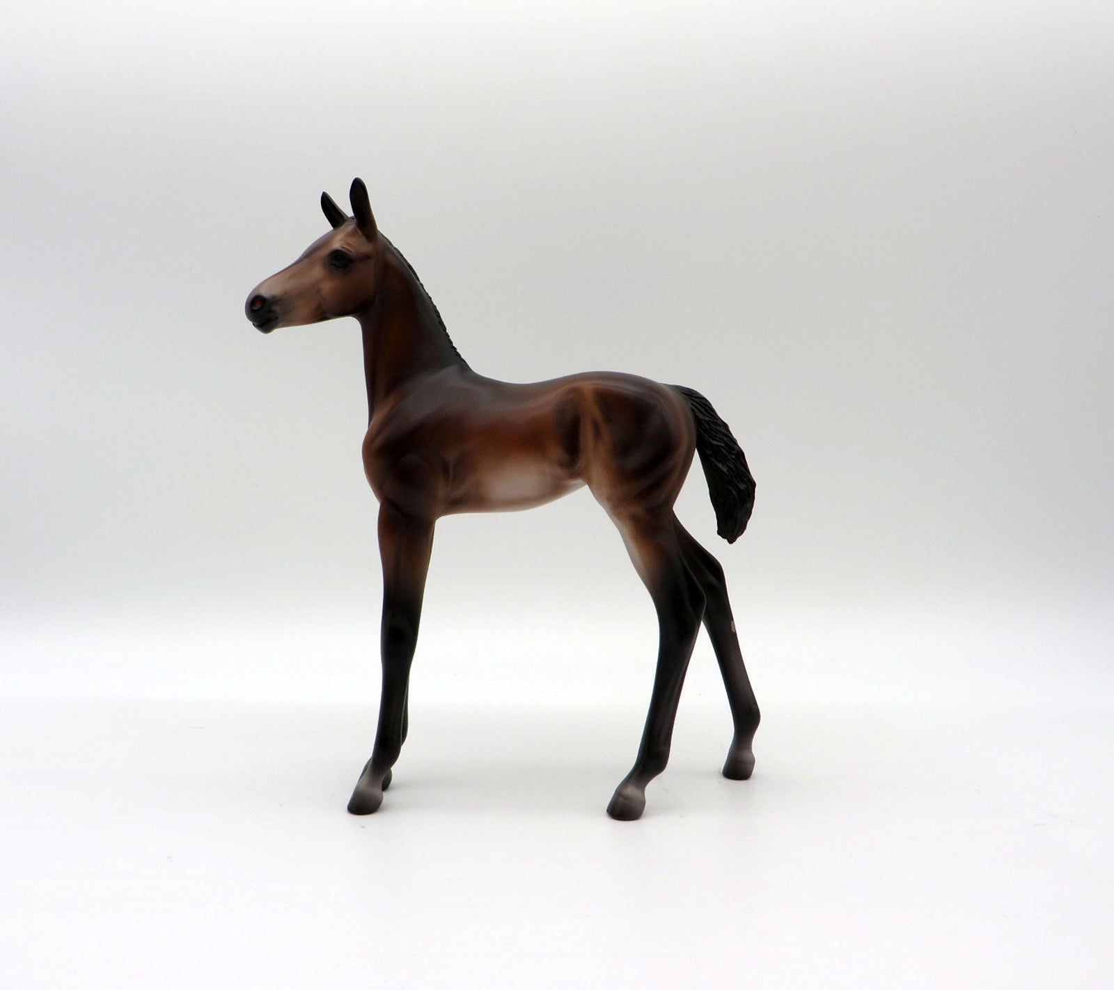 Novato-OOAK Baby Bay Foal Painted by Caroline Boydston 10/18/21