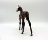 Novato-OOAK Baby Bay Foal Painted by Caroline Boydston 10/18/21