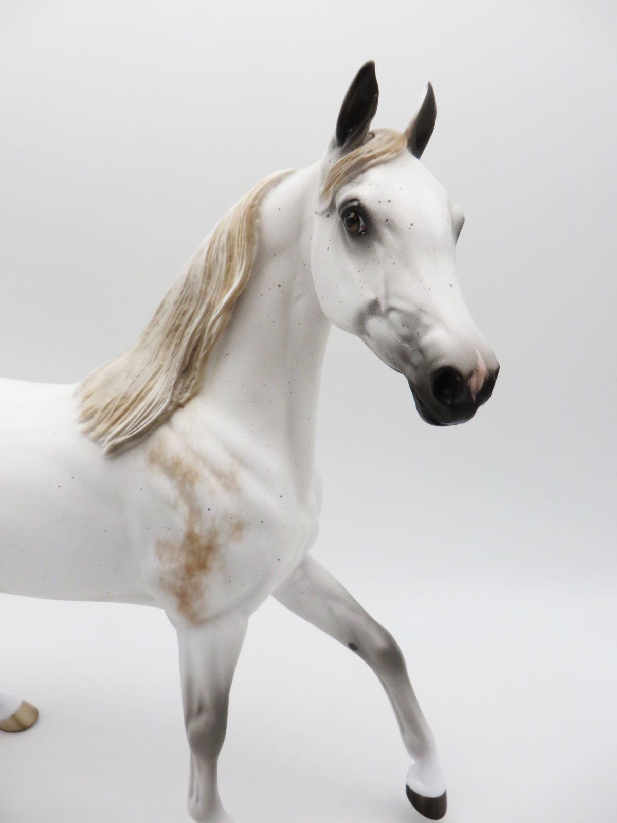 Now You See Me - OOAK - Bloody Shoulder Arab Mare by Sheryl Leisure - Best Offers 1/30/23