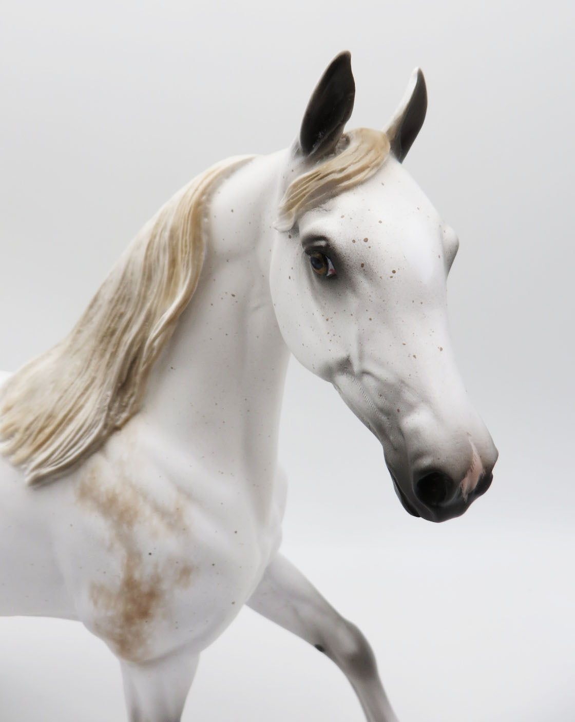 Now You See Me - OOAK - Bloody Shoulder Arab Mare by Sheryl Leisure - Best Offers 1/30/23