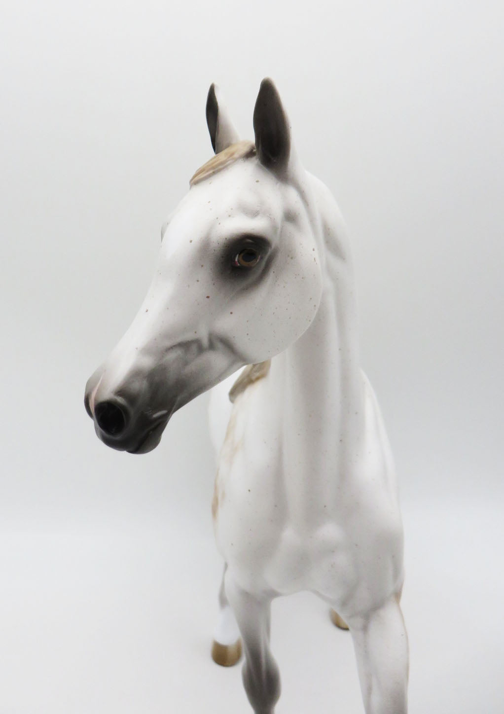 Now You See Me - OOAK - Bloody Shoulder Arab Mare by Sheryl Leisure - Best Offers 1/30/23
