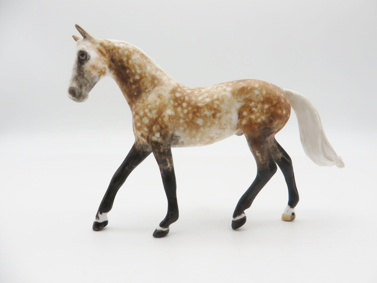 OLYMPIC - OOAK Rose Grey Warmblood Chip LHS 22