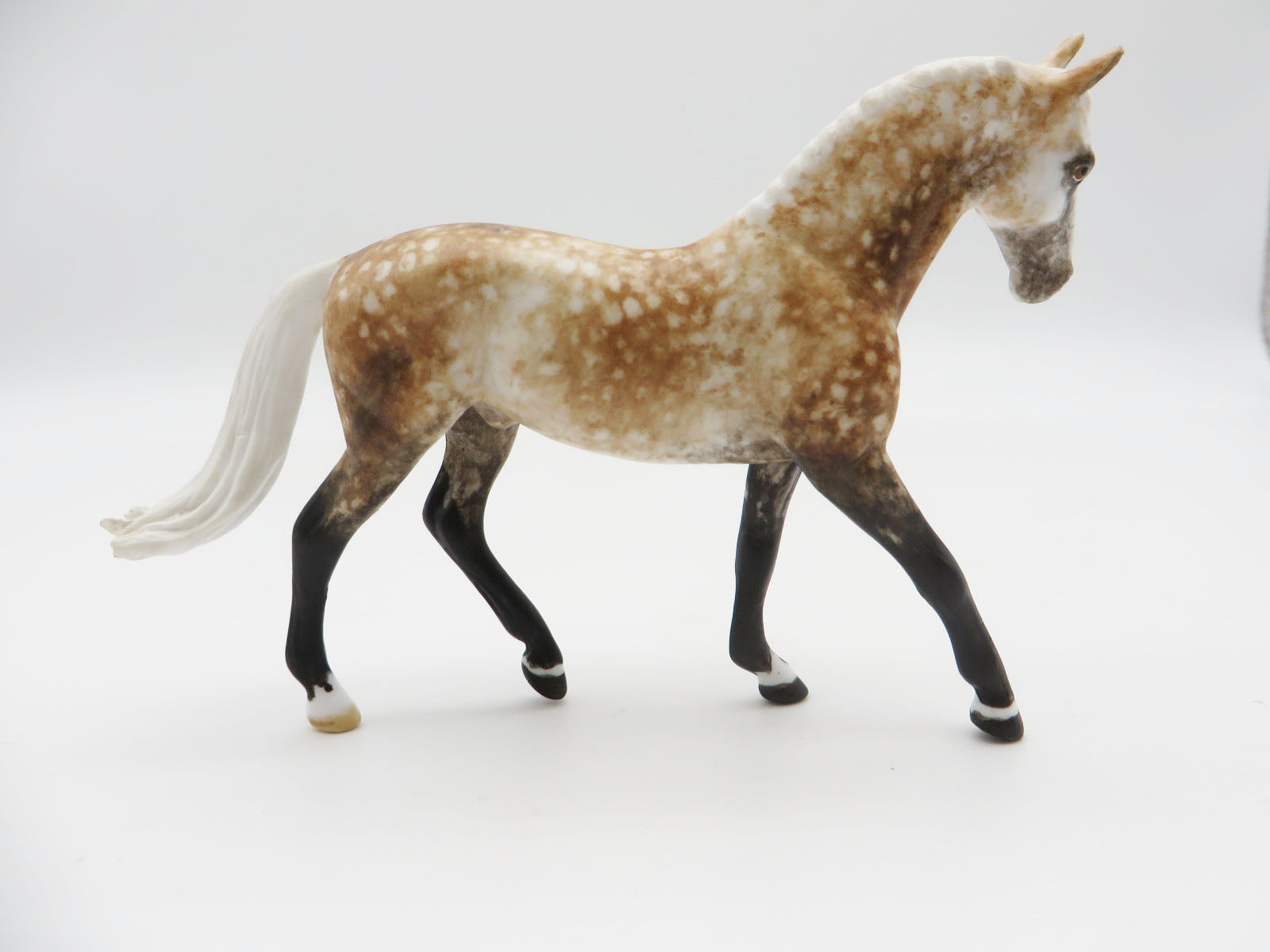 OLYMPIC - OOAK Rose Grey Warmblood Chip LHS 22