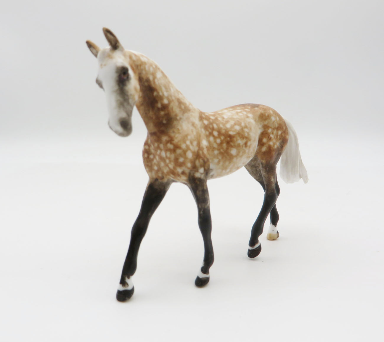 OLYMPIC - OOAK Rose Grey Warmblood Chip LHS 22