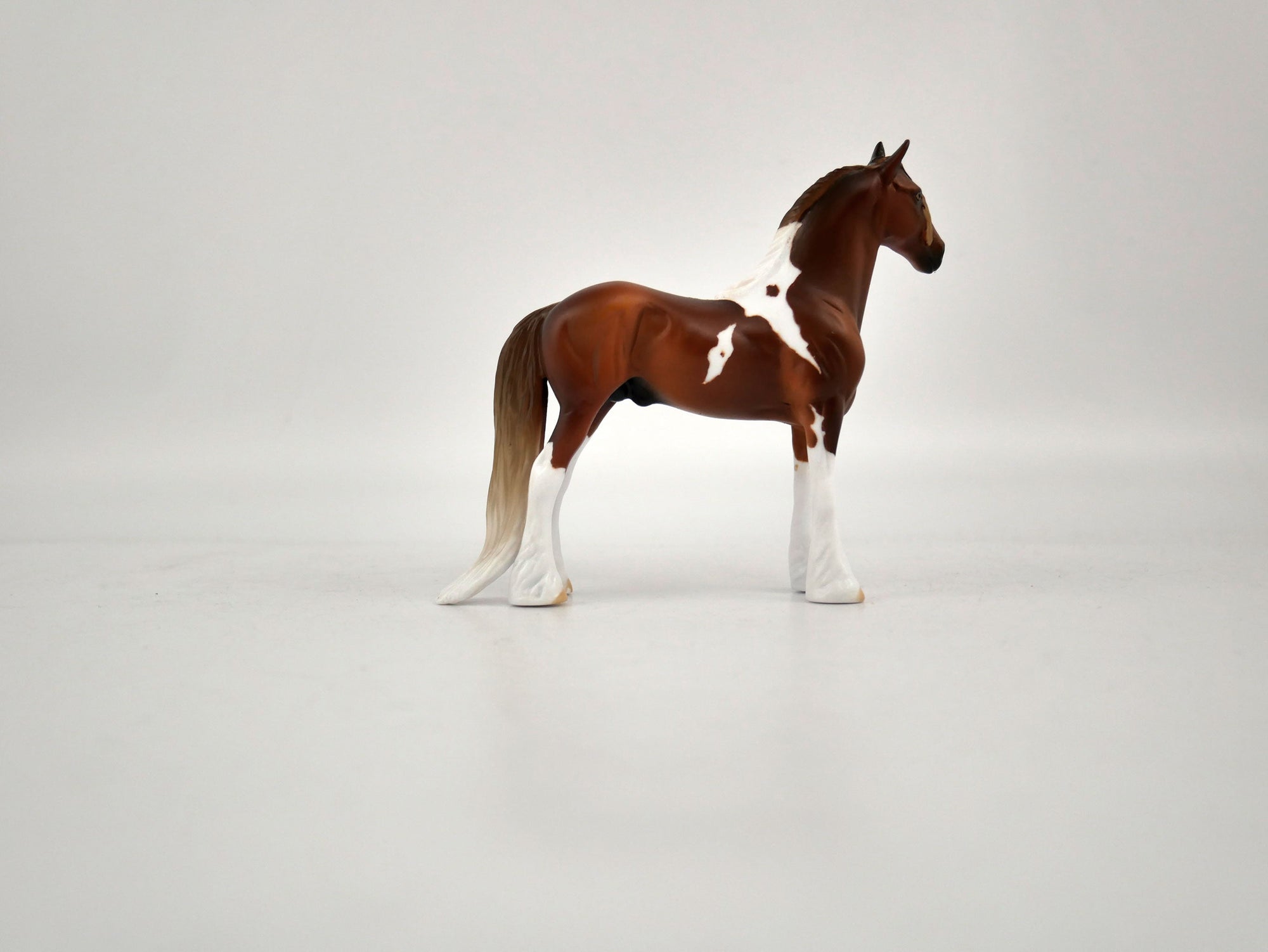 What is inside the Box&gt; Oakley 12/20