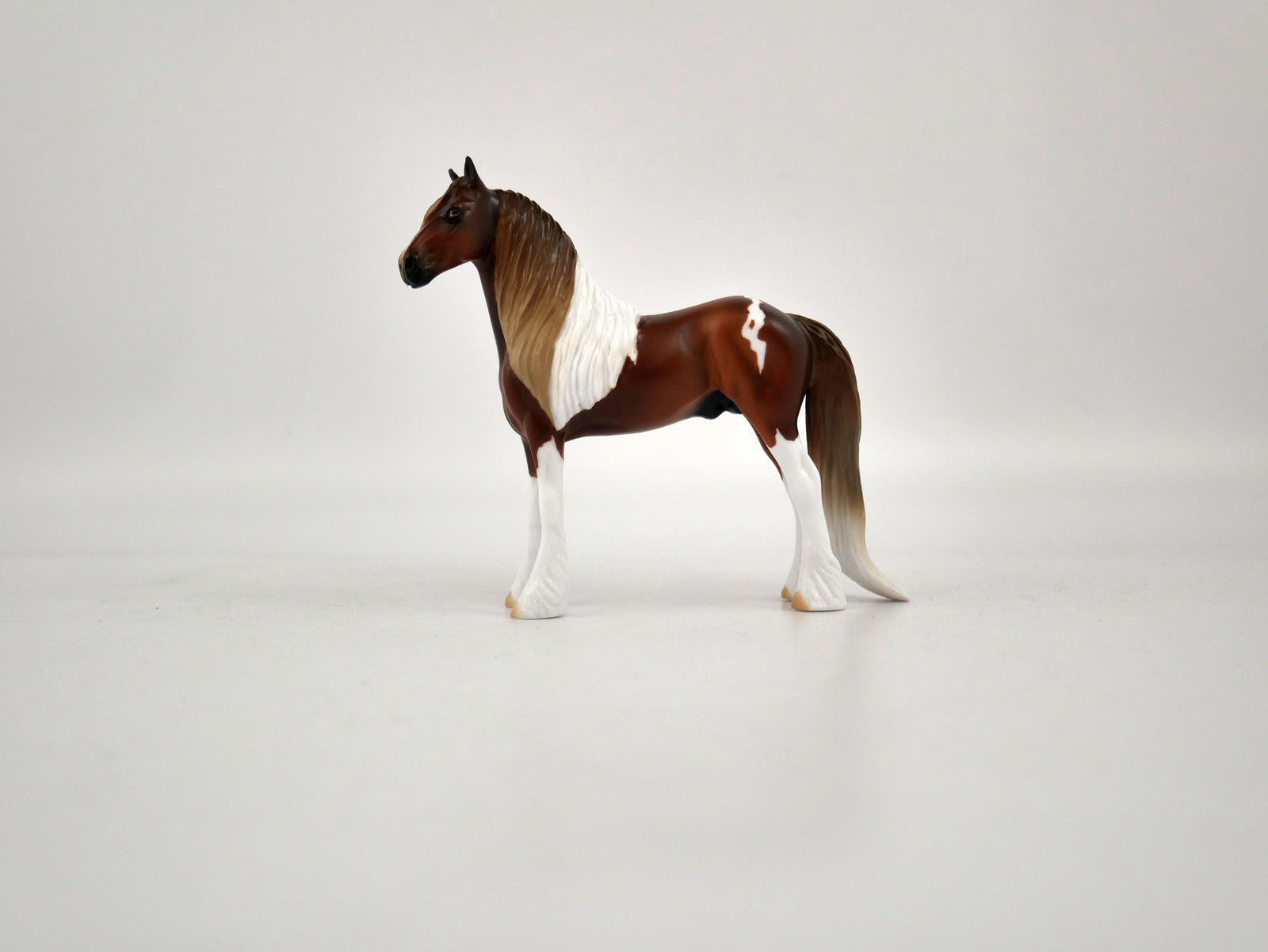 What is inside the Box> Oakley 12/20