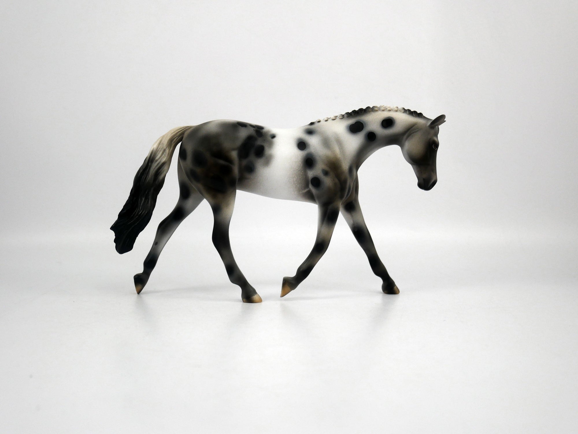 Oasis-OOAK Appaloosa Pebbles Warmblood 1/8/21