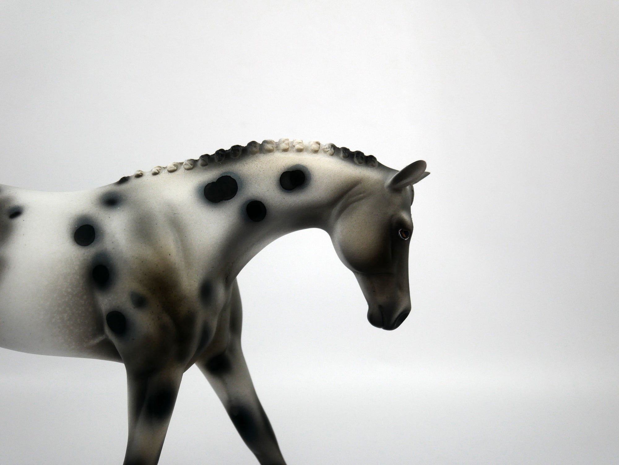 Oasis-OOAK Appaloosa Pebbles Warmblood 1/8/21