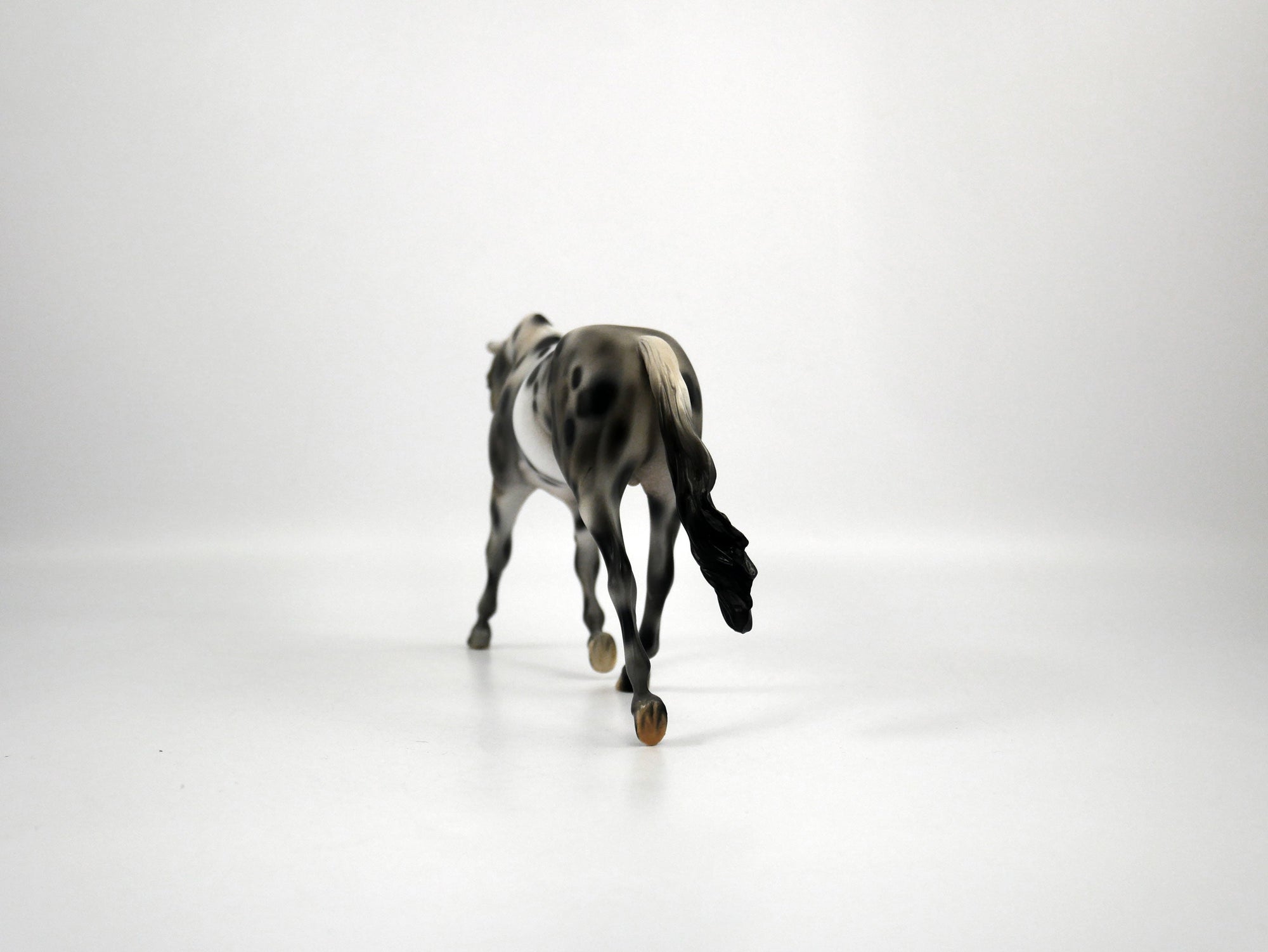 Oasis-OOAK Appaloosa Pebbles Warmblood 1/8/21