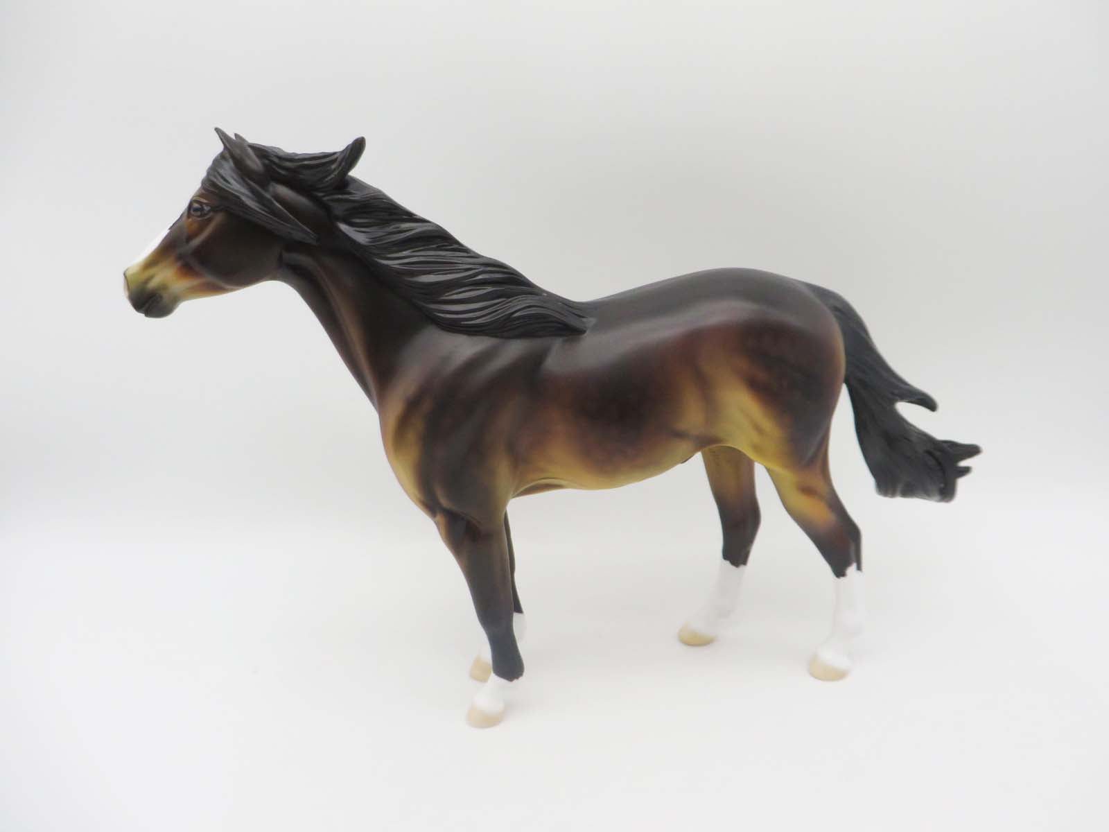 Ocotillo  OOAK Bay Spanish Mustang By Dawn Quick SHCF23