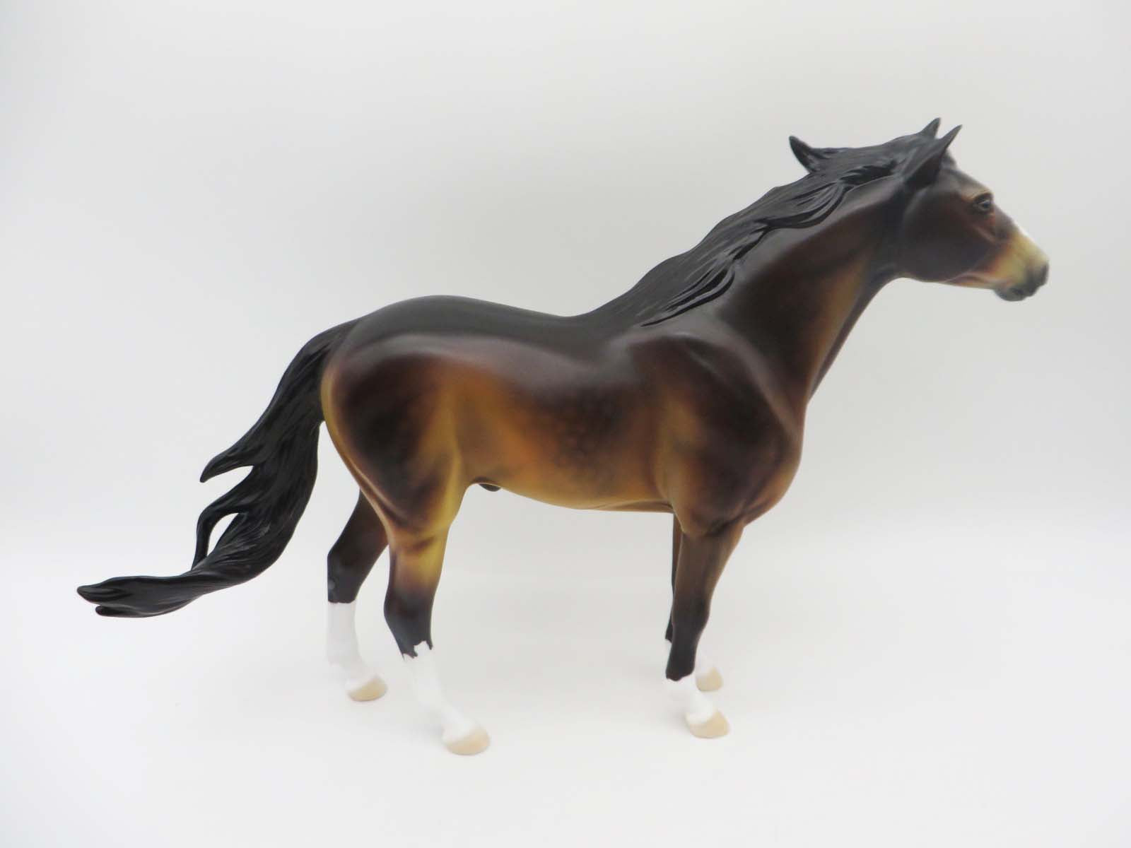 Ocotillo  OOAK Bay Spanish Mustang By Dawn Quick SHCF23