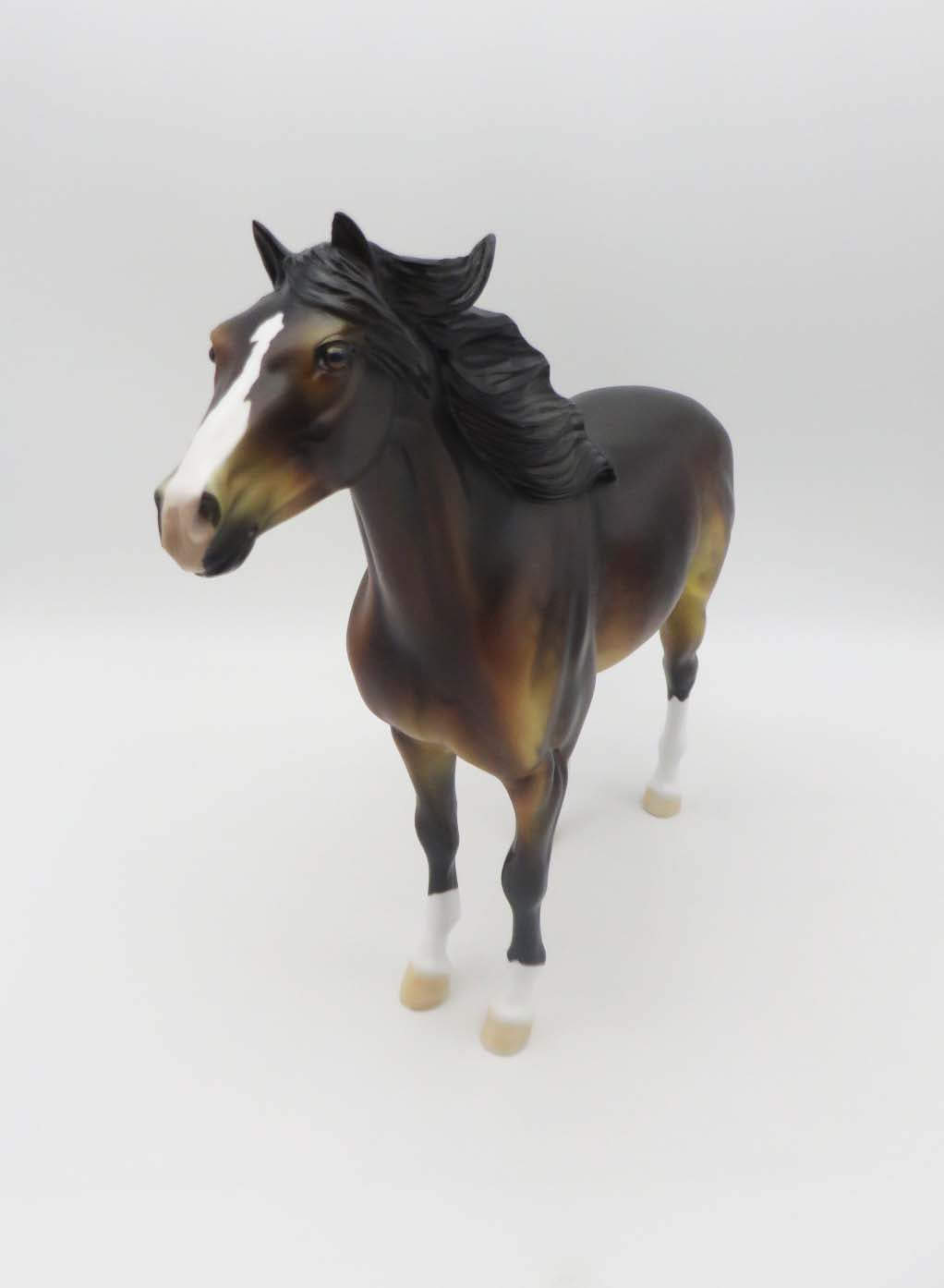 Ocotillo  OOAK Bay Spanish Mustang By Dawn Quick SHCF23