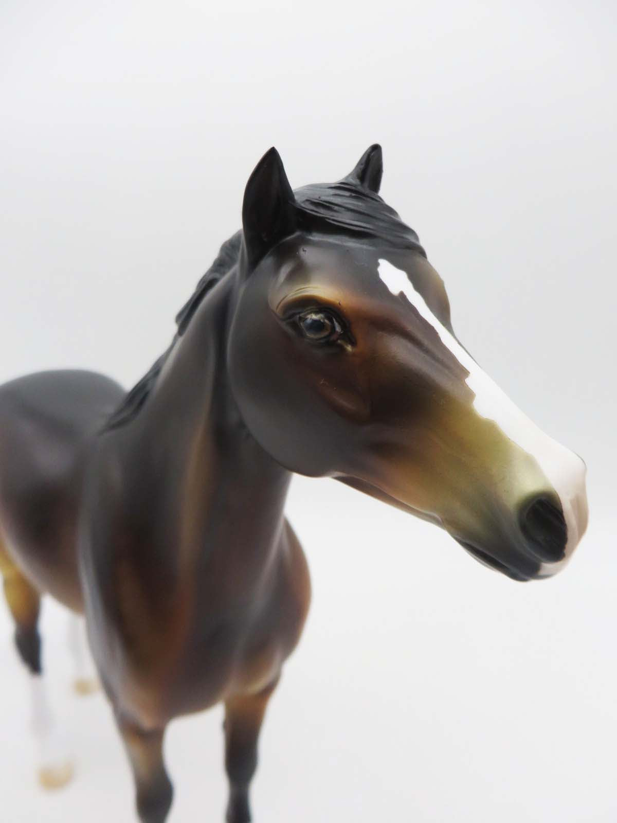 Ocotillo  OOAK Bay Spanish Mustang By Dawn Quick SHCF23