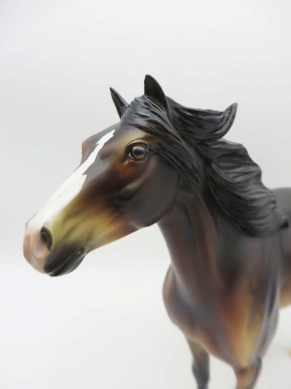 Ocotillo  OOAK Bay Spanish Mustang By Dawn Quick SHCF23