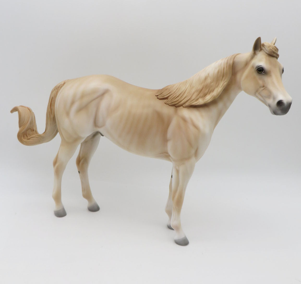 Oliver-LE-3 Red Dun Brindle ISH P&C 23