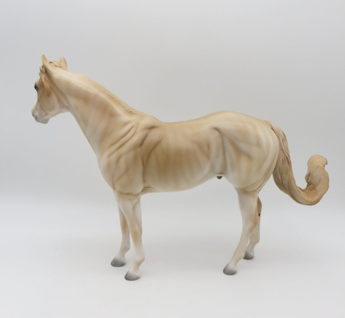 Oliver-LE-3 Red Dun Brindle ISH P&amp;C 23