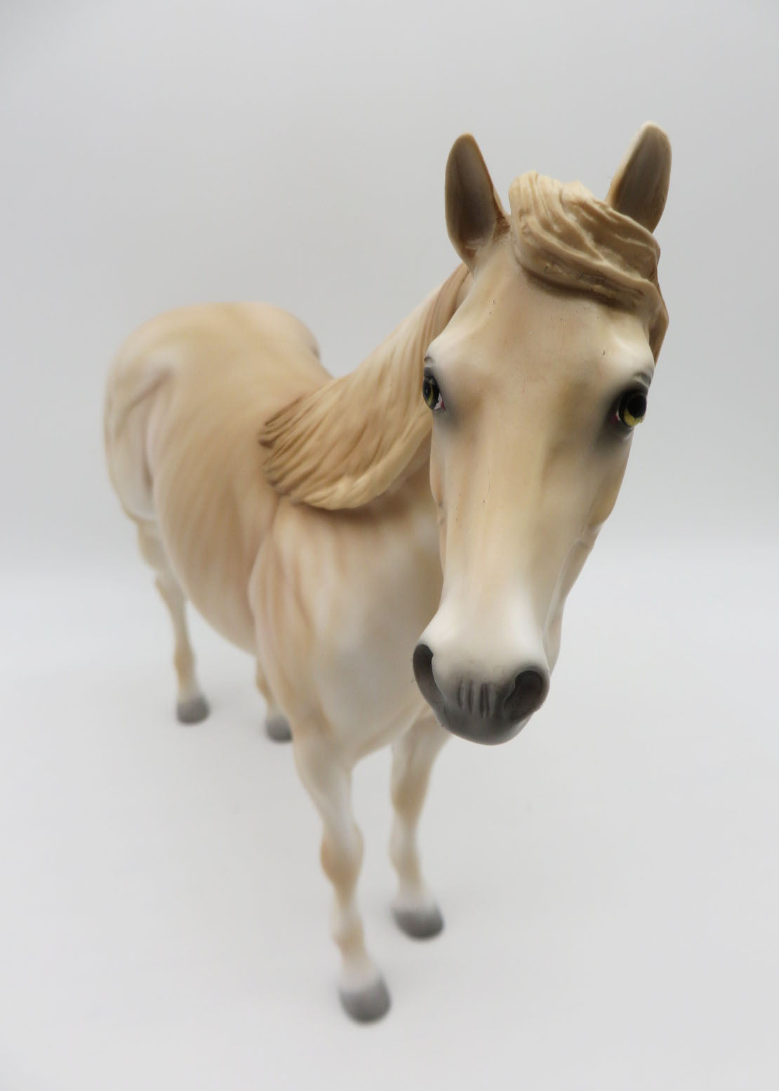 Oliver-LE-3 Red Dun Brindle ISH P&amp;C 23