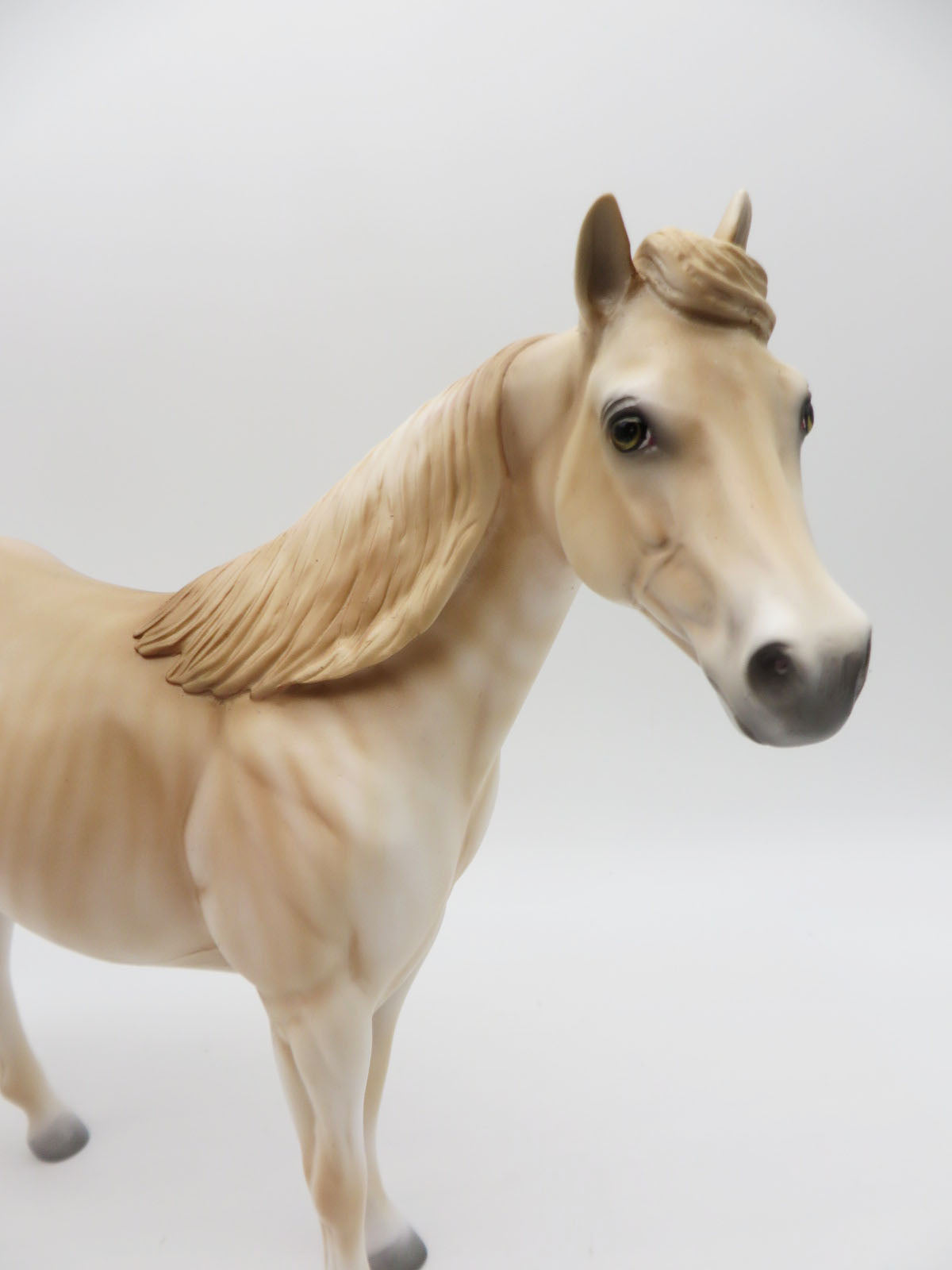 Oliver-LE-3 Red Dun Brindle ISH P&amp;C 23