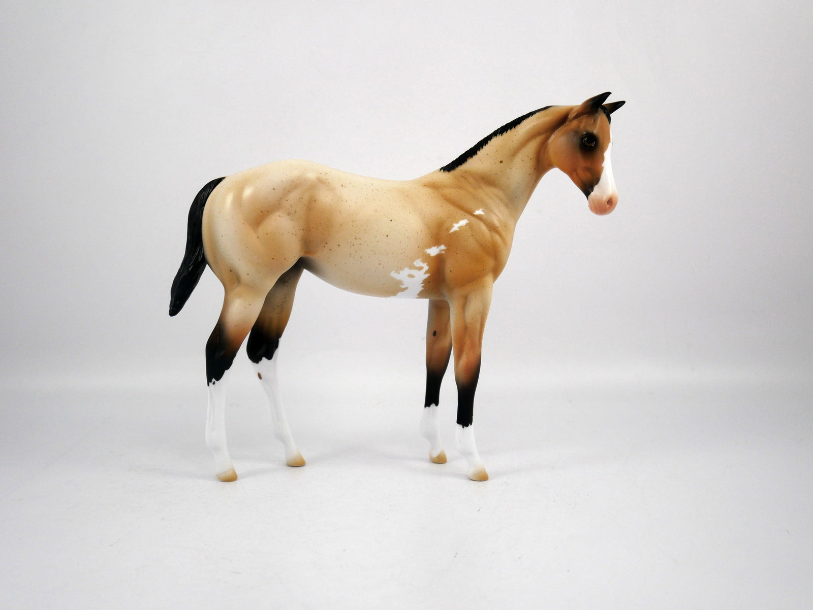 Oliva-OOAK Weanling Buckskin Paint by Ellen 1/29/21
