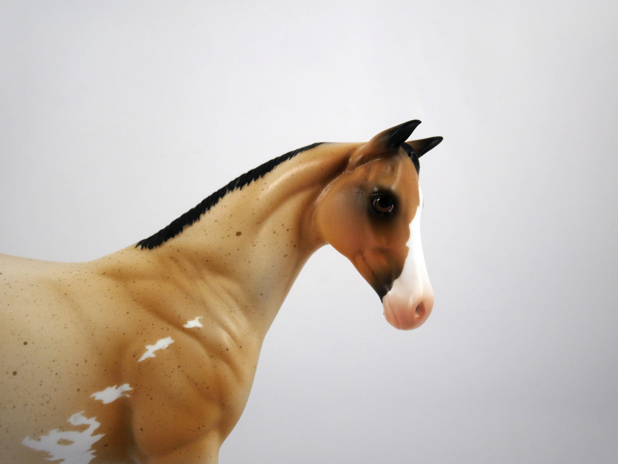 Oliva-OOAK Weanling Buckskin Paint by Ellen 1/29/21