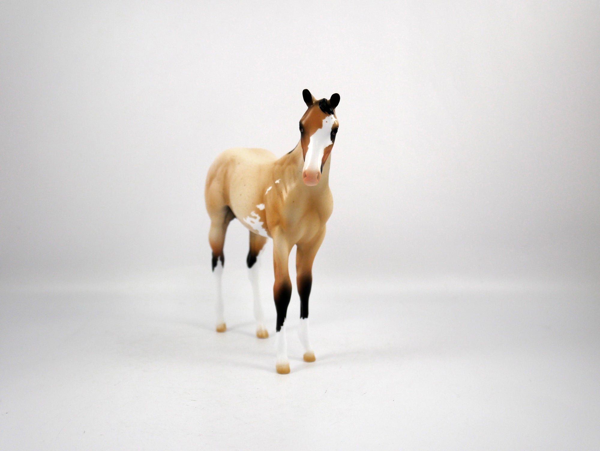 Oliva-OOAK Weanling Buckskin Paint by Ellen 1/29/21