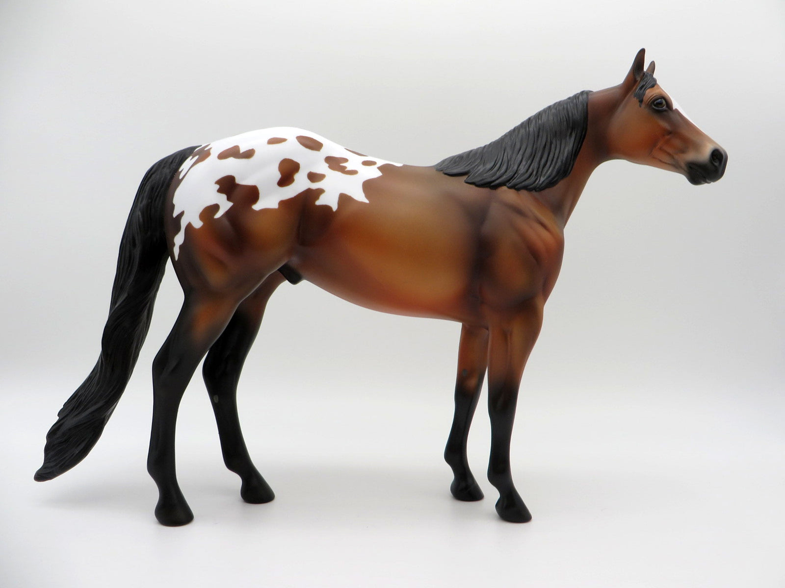 Omega-OOAK Bay Appaloosa ISH SHCF 2021