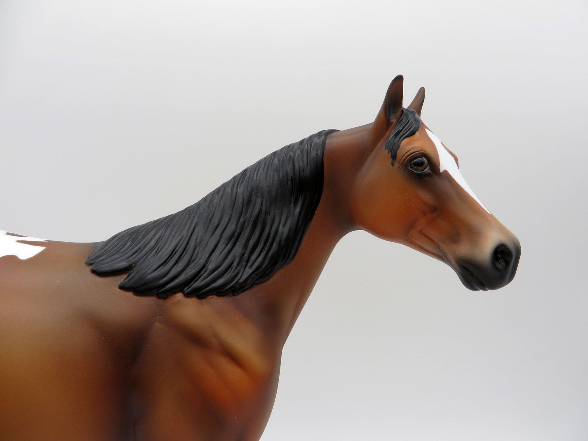 Omega-OOAK Bay Appaloosa ISH SHCF 2021