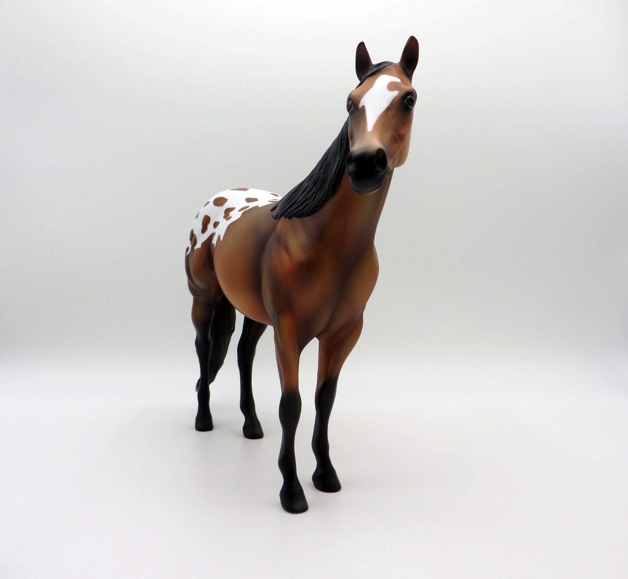 Omega-OOAK Bay Appaloosa ISH SHCF 2021