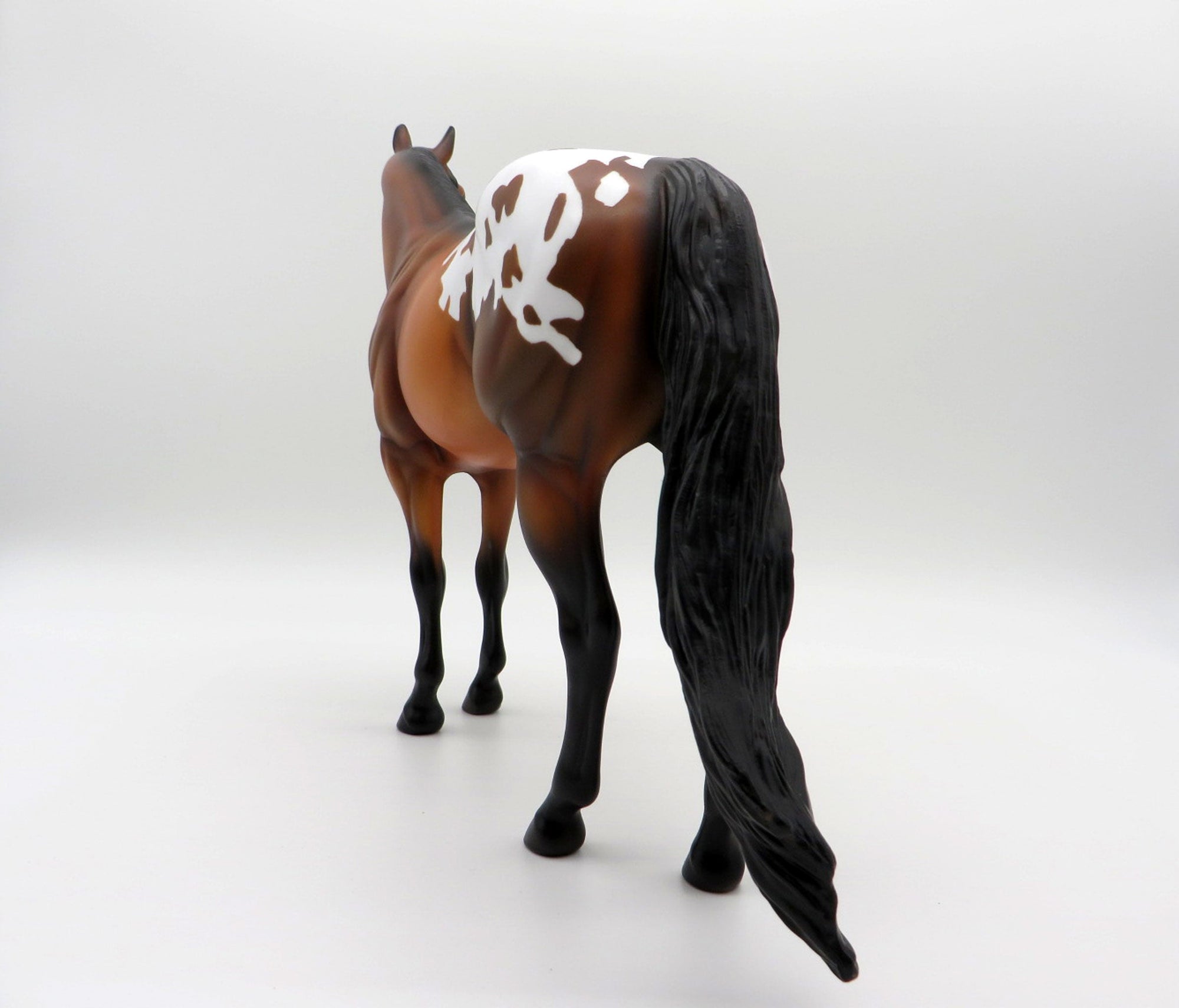 Omega-OOAK Bay Appaloosa ISH SHCF 2021