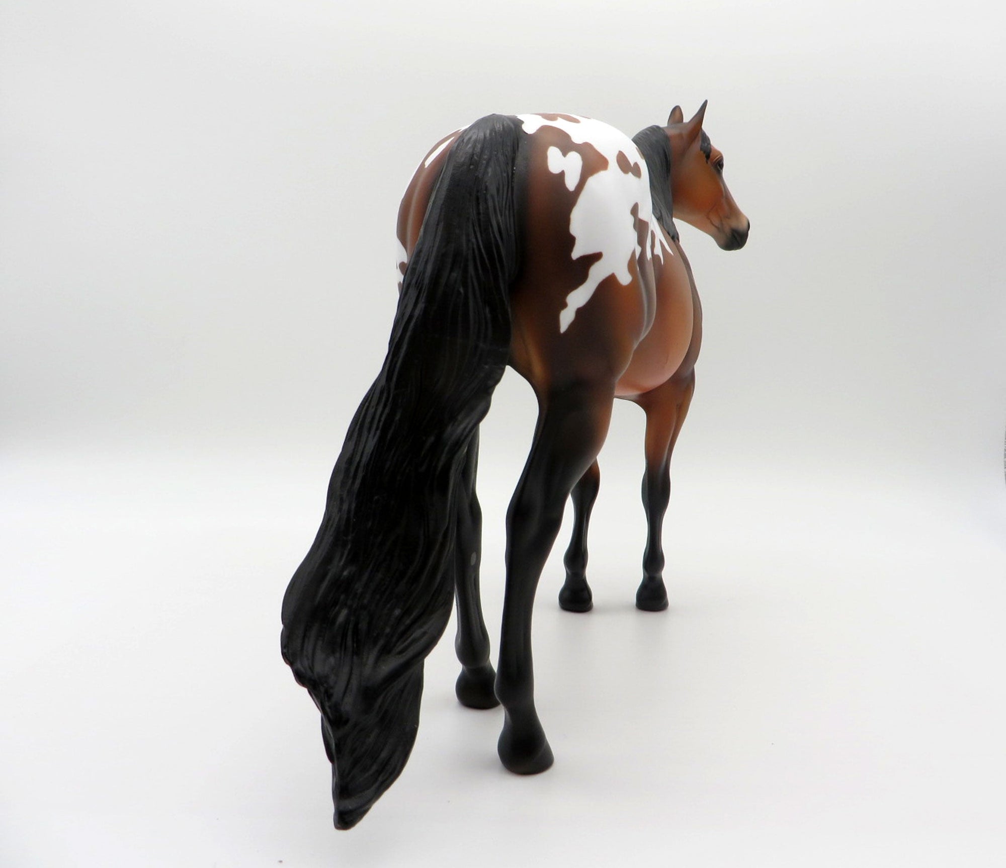 Omega-OOAK Bay Appaloosa ISH SHCF 2021