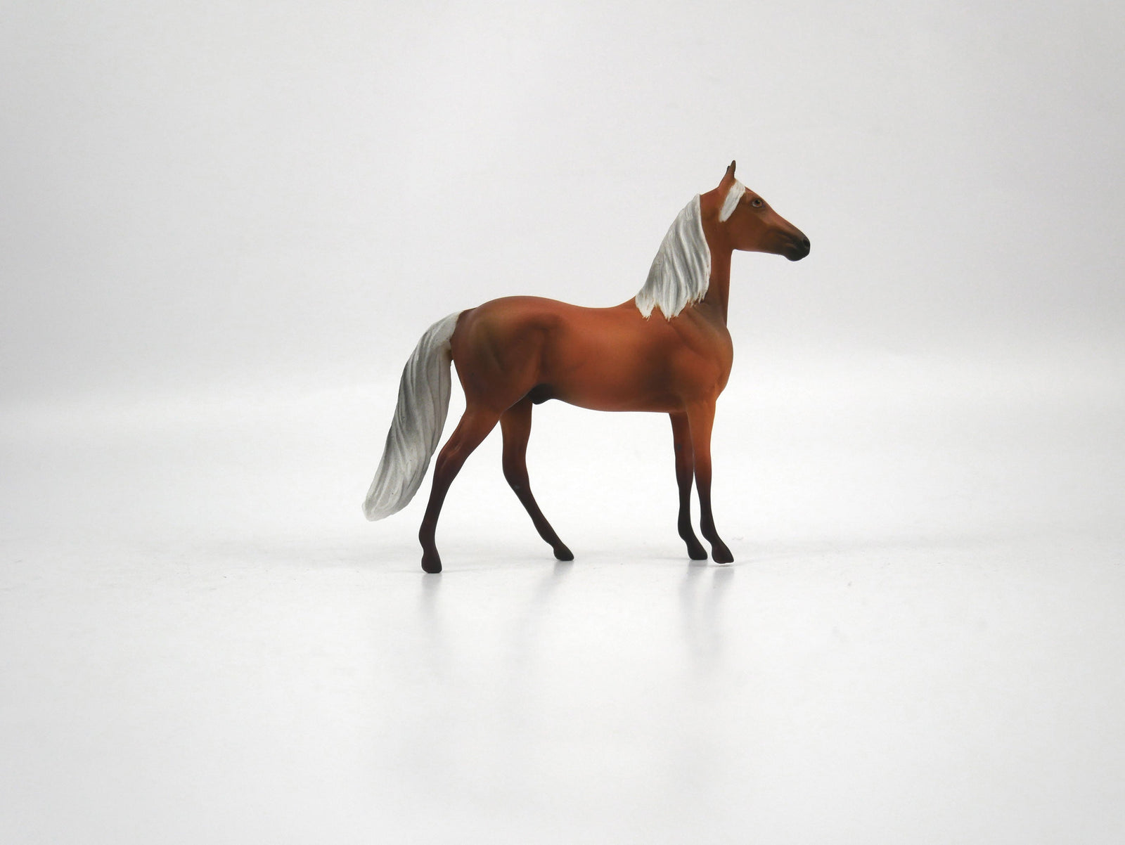 Omni-OOAK Palomino Morgan Chip 1/27/21