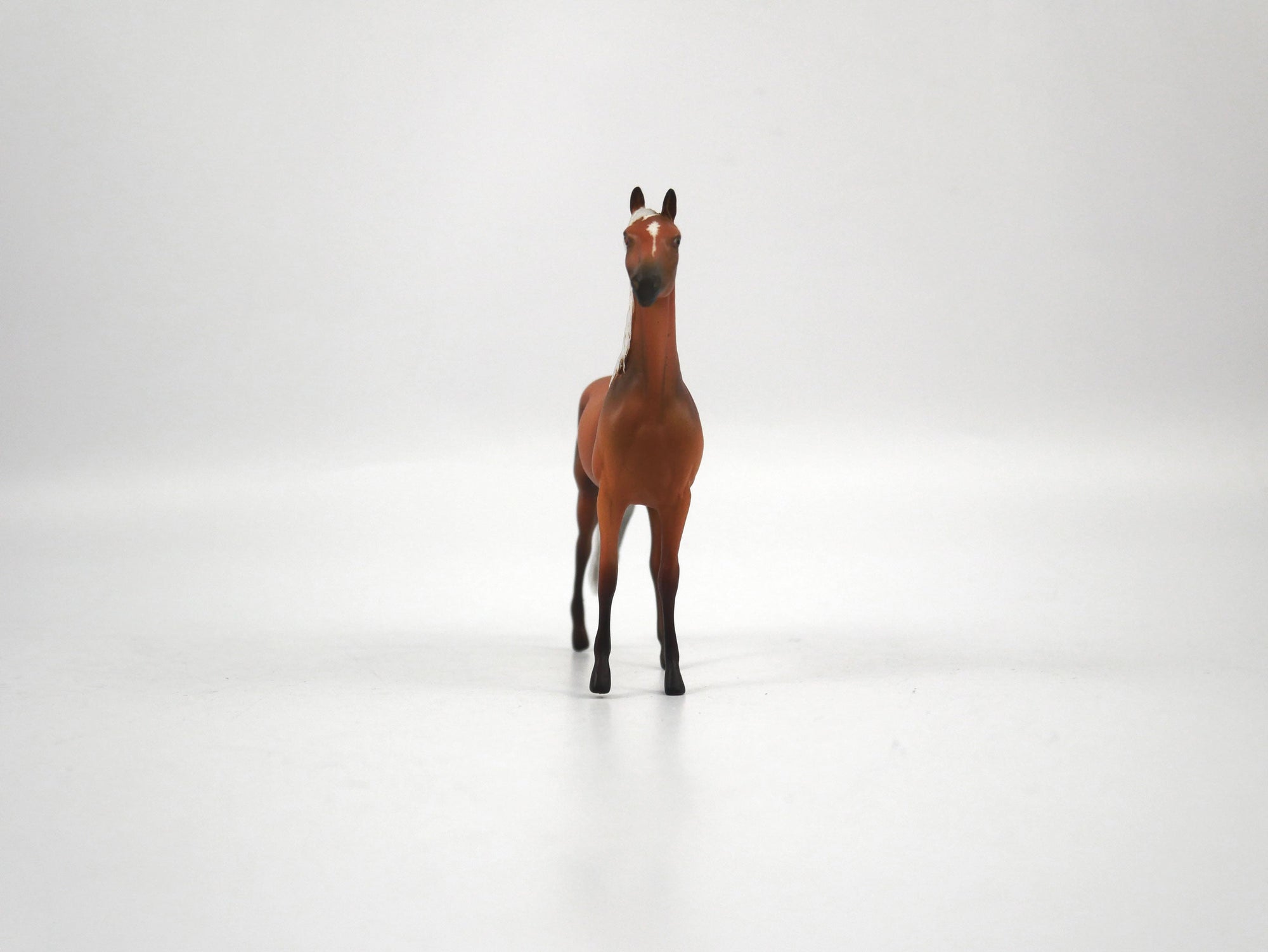 Omni-OOAK Palomino Morgan Chip 1/27/21