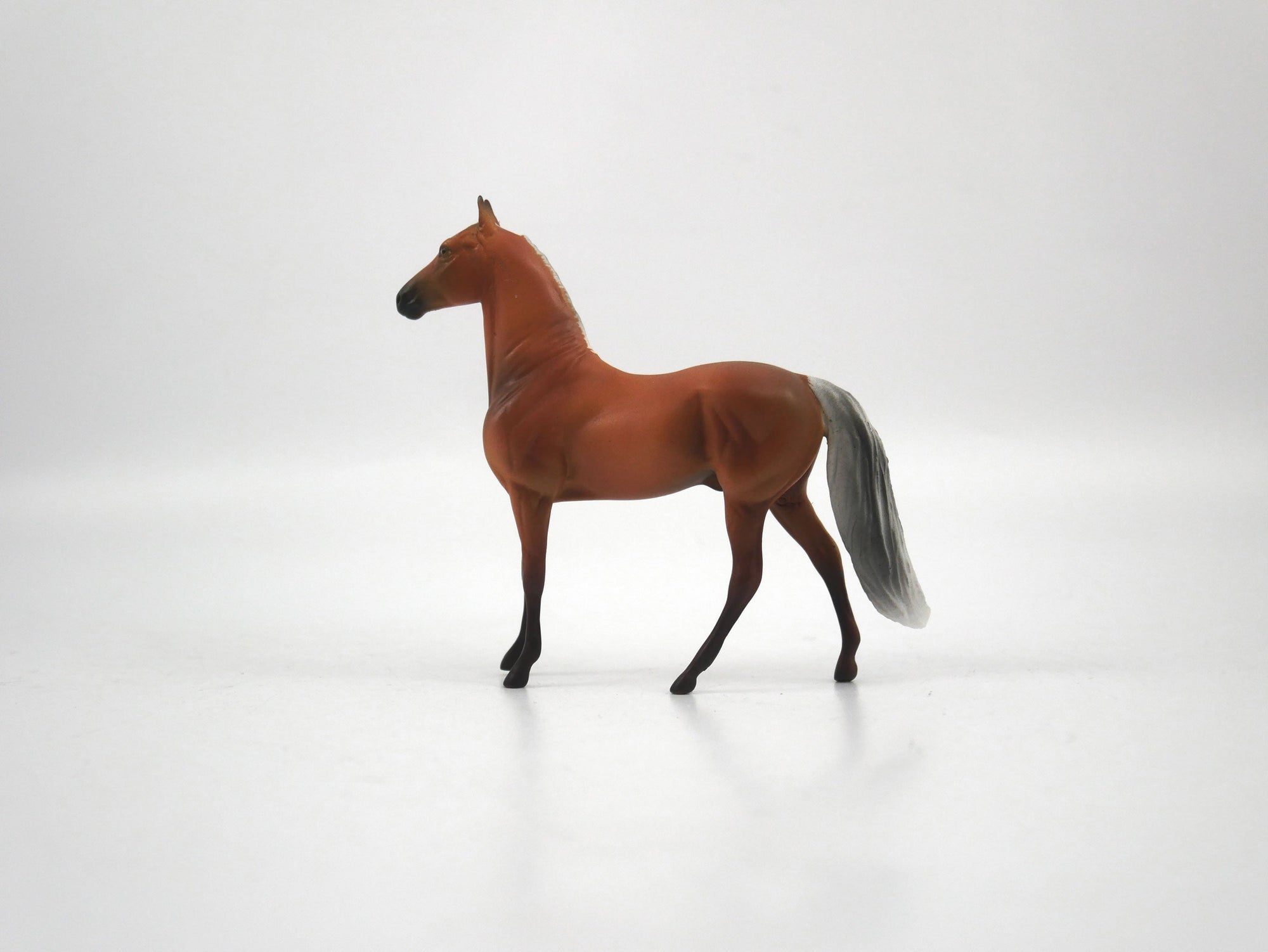 Omni-OOAK Palomino Morgan Chip 1/27/21