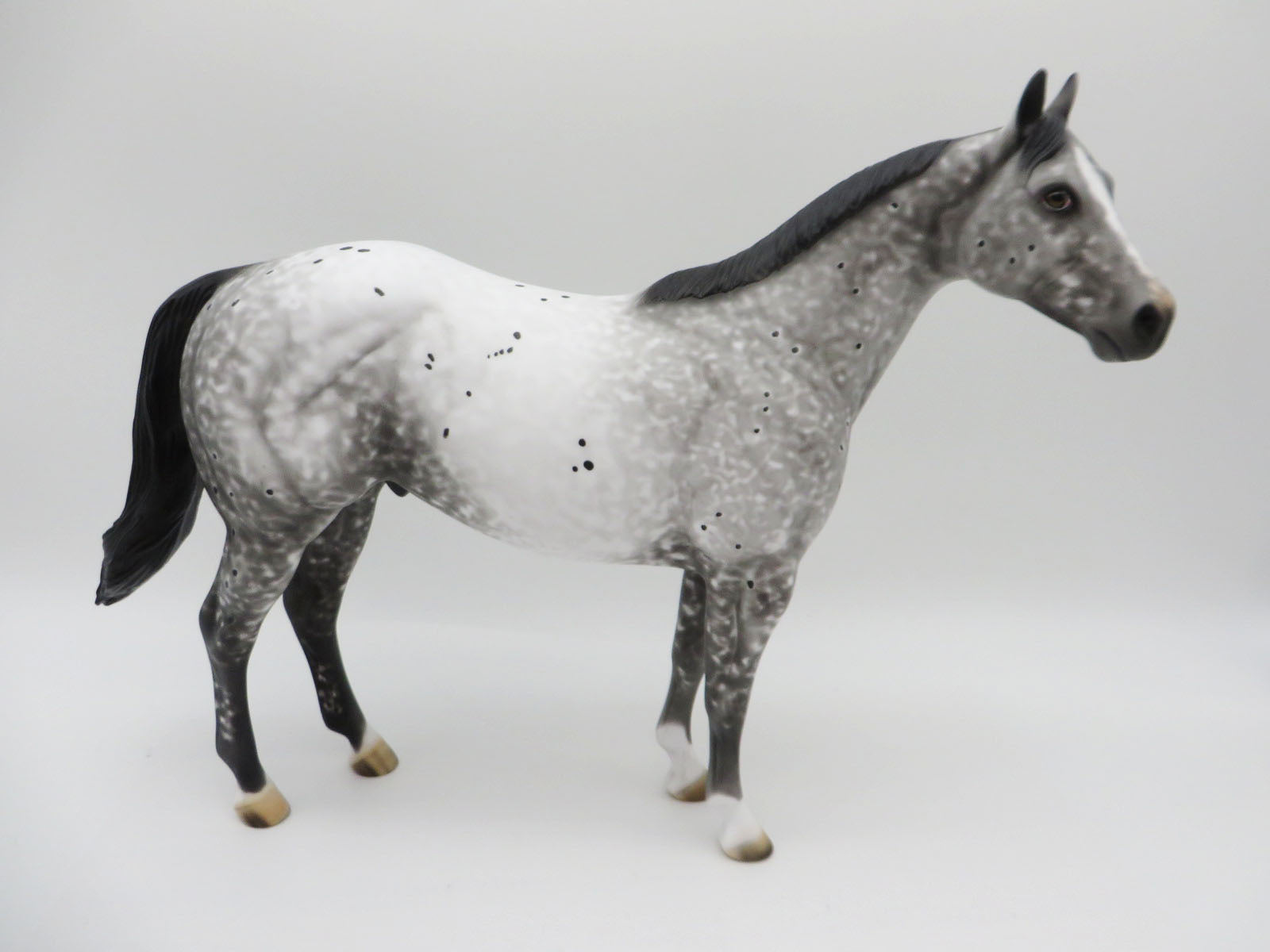 On Thin Ice - OOAK - Grey Appaloosa Ideal Stock Horse - by Al Katt - CT22