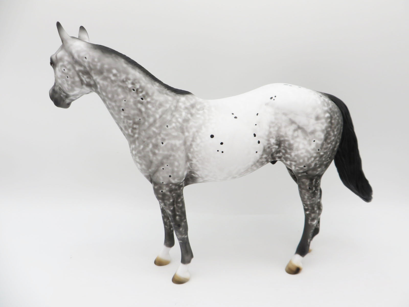 On Thin Ice - OOAK - Grey Appaloosa Ideal Stock Horse - by Al Katt - CT22