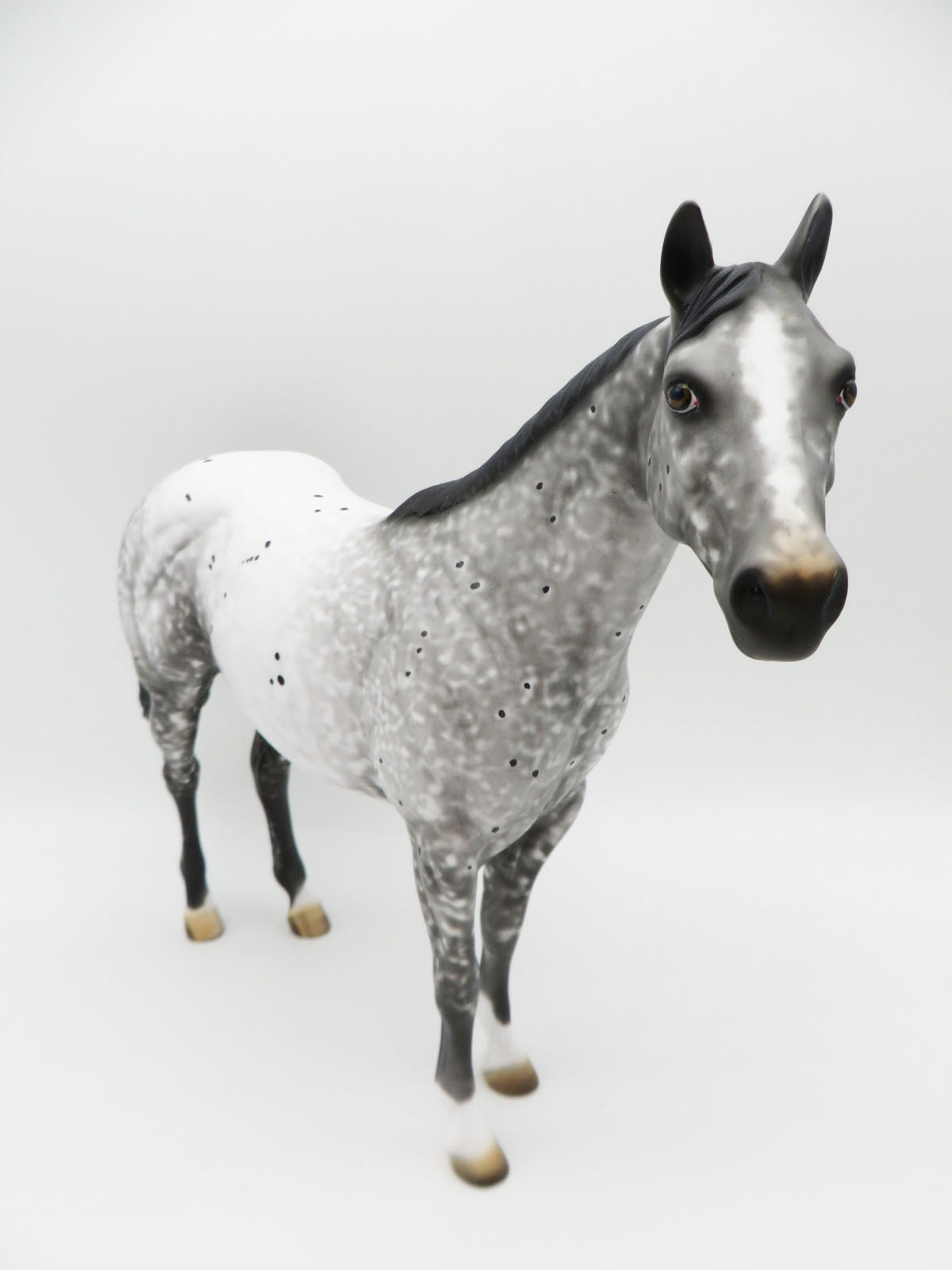 On Thin Ice - OOAK - Grey Appaloosa Ideal Stock Horse - by Al Katt - CT22