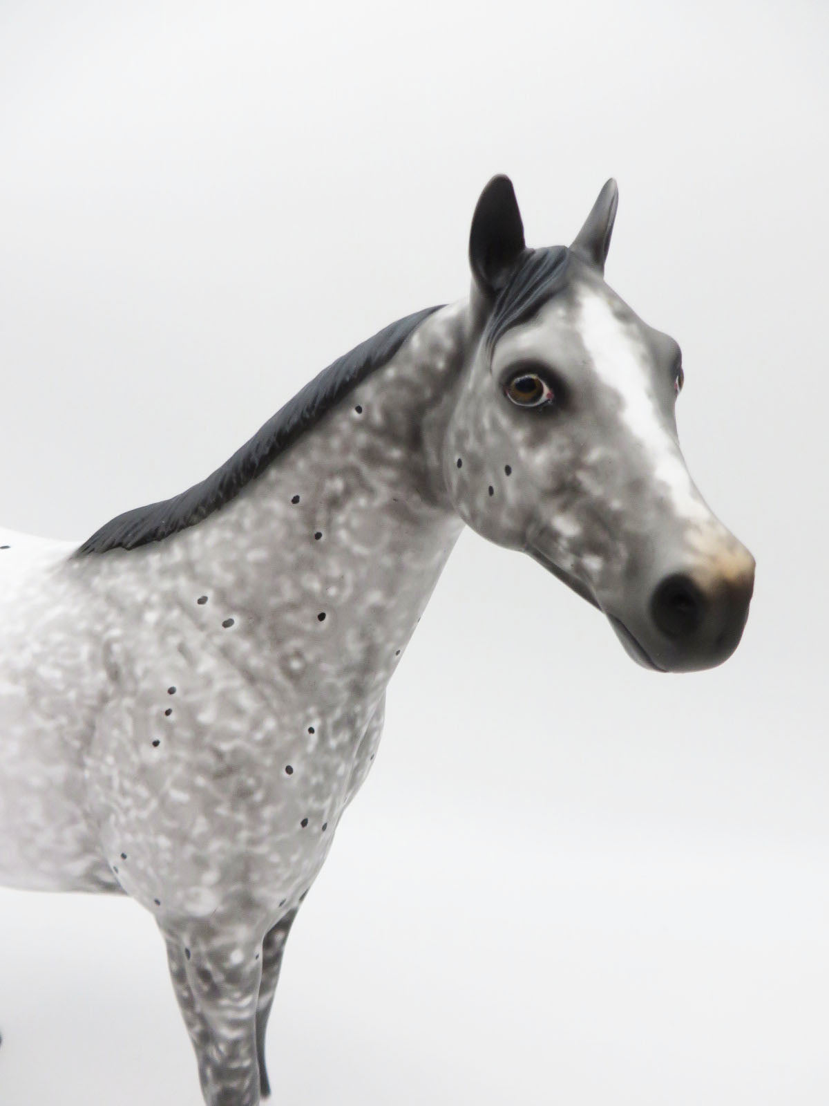 On Thin Ice - OOAK - Grey Appaloosa Ideal Stock Horse - by Al Katt - CT22