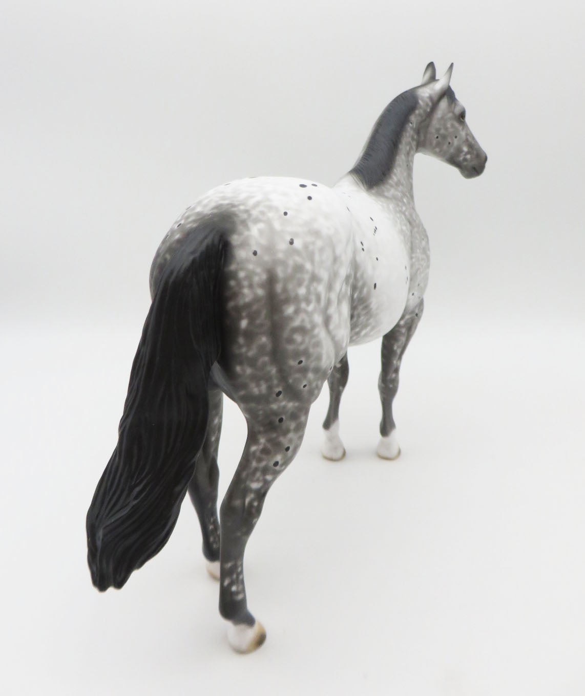On Thin Ice - OOAK - Grey Appaloosa Ideal Stock Horse - by Al Katt - CT22