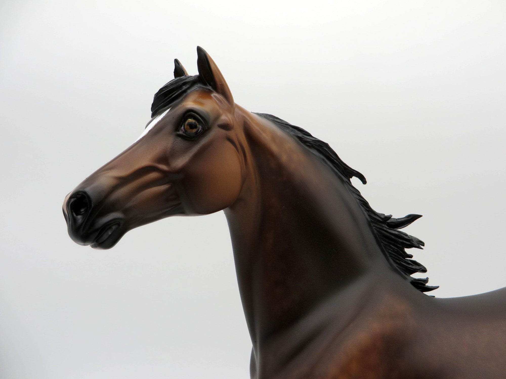 One More Night - OOAK Dapple Bay Morgan Painted By Sheryl Leisure 7/19/21