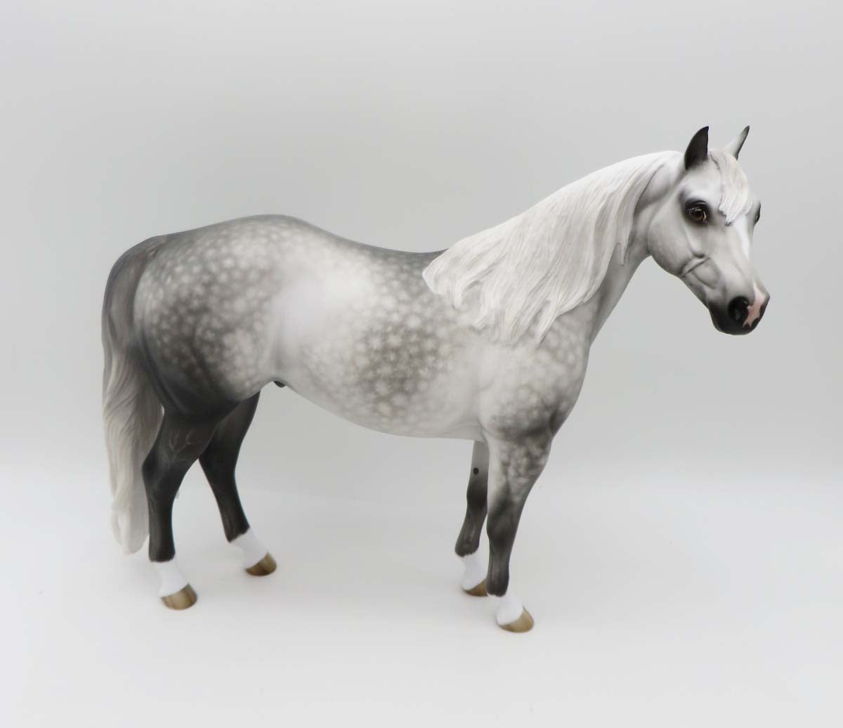 One Good Reason - OOAK - Dappled Grey Ideal Stock Horse By Shery Leisure - Best Offers 2/12/23 P&C 23