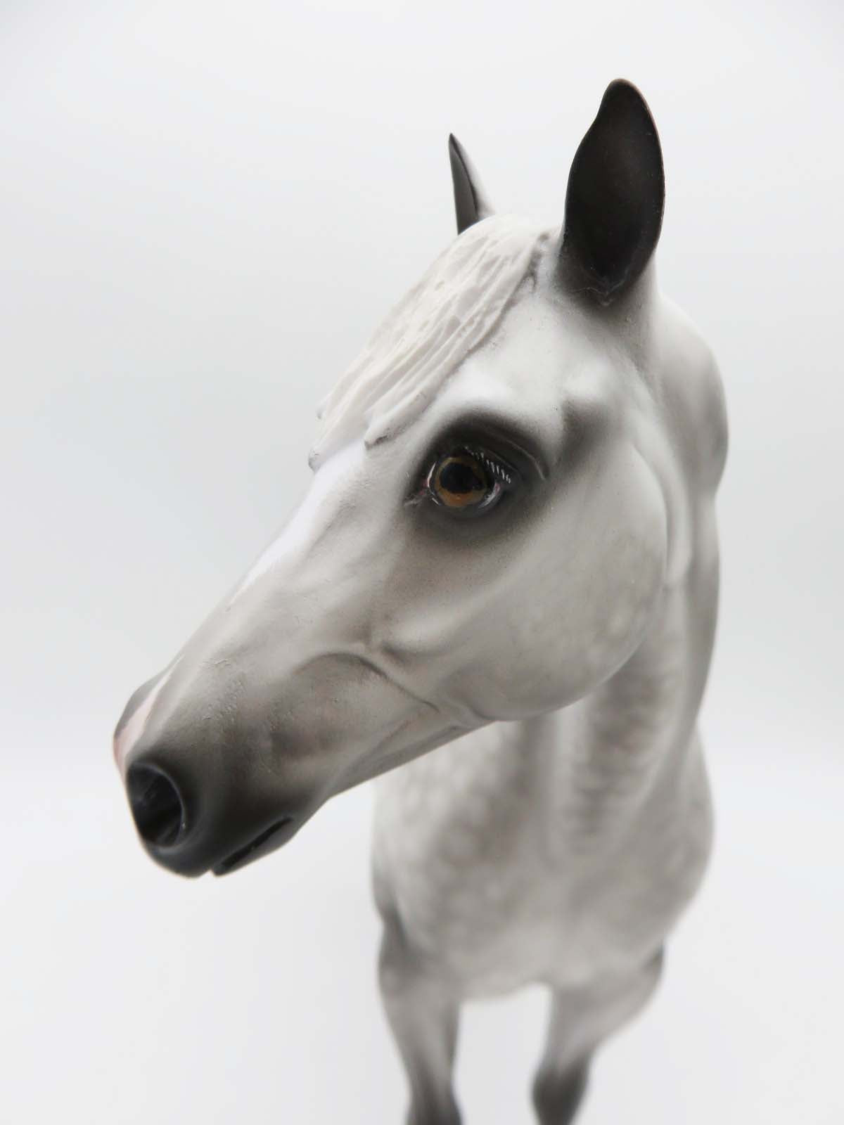 One Good Reason - OOAK - Dappled Grey Ideal Stock Horse By Shery Leisure - Best Offers 2/12/23 P&amp;C 23