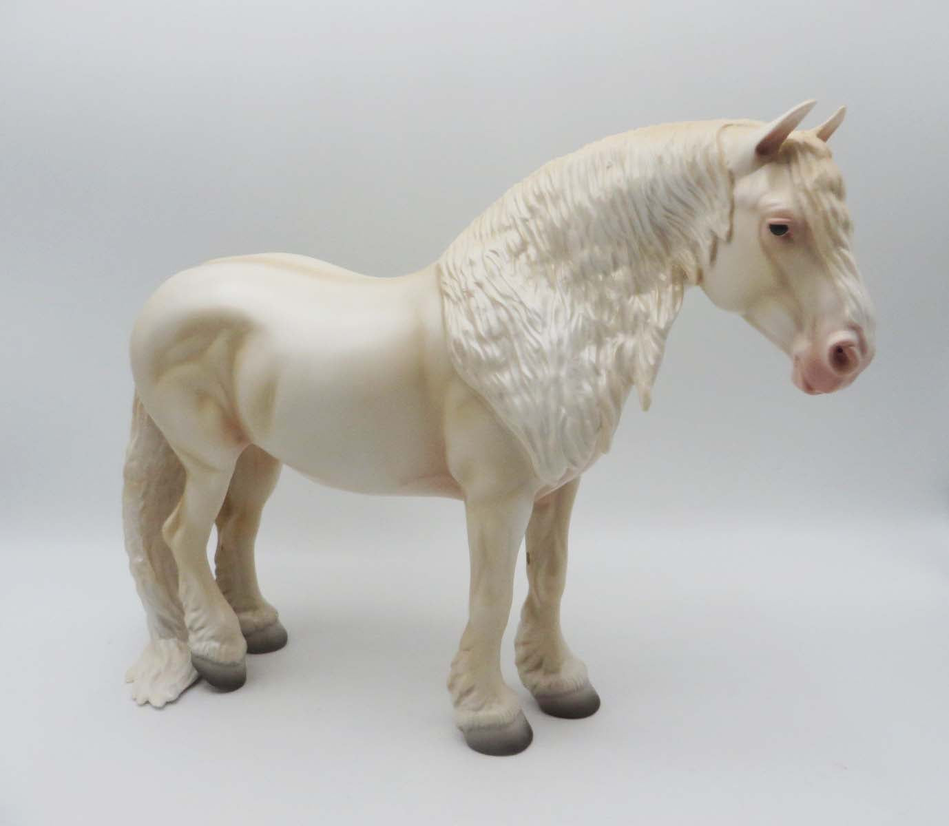 One Hundred Years Is Nothing - OOAK - American Cream Heavy Draft By Ashley Palmer - SHCF23