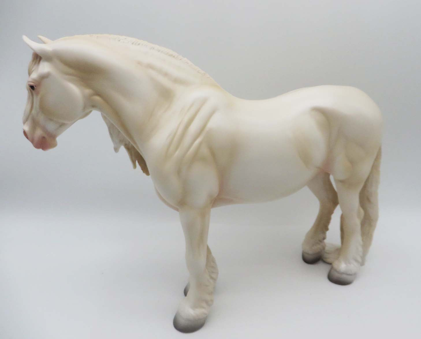 One Hundred Years Is Nothing - OOAK - American Cream Heavy Draft By Ashley Palmer - SHCF23