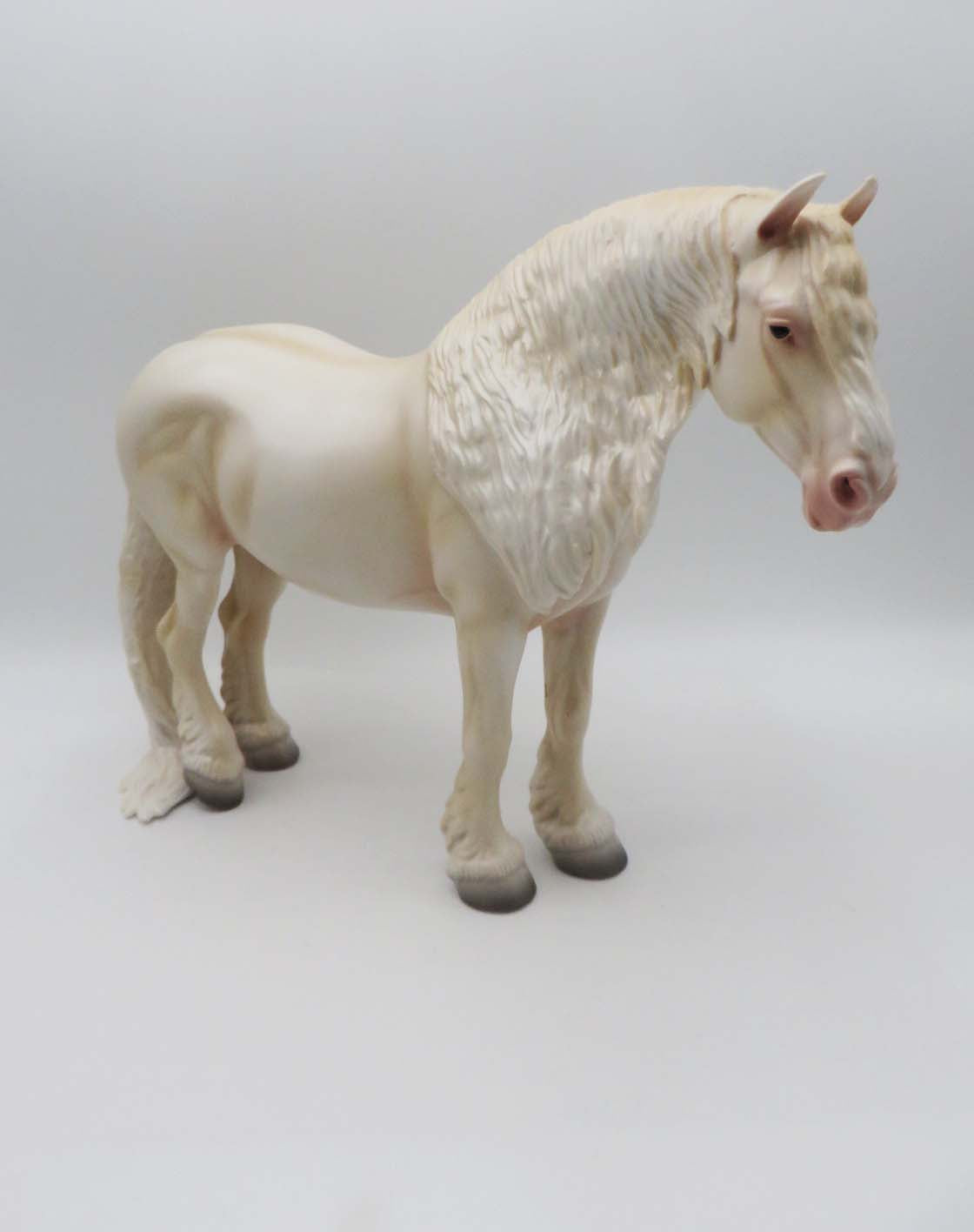 One Hundred Years Is Nothing - OOAK - American Cream Heavy Draft By Ashley Palmer - SHCF23