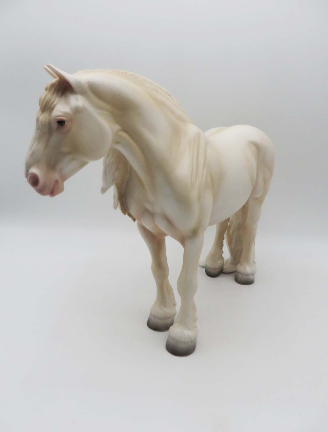 One Hundred Years Is Nothing - OOAK - American Cream Heavy Draft By Ashley Palmer - SHCF23