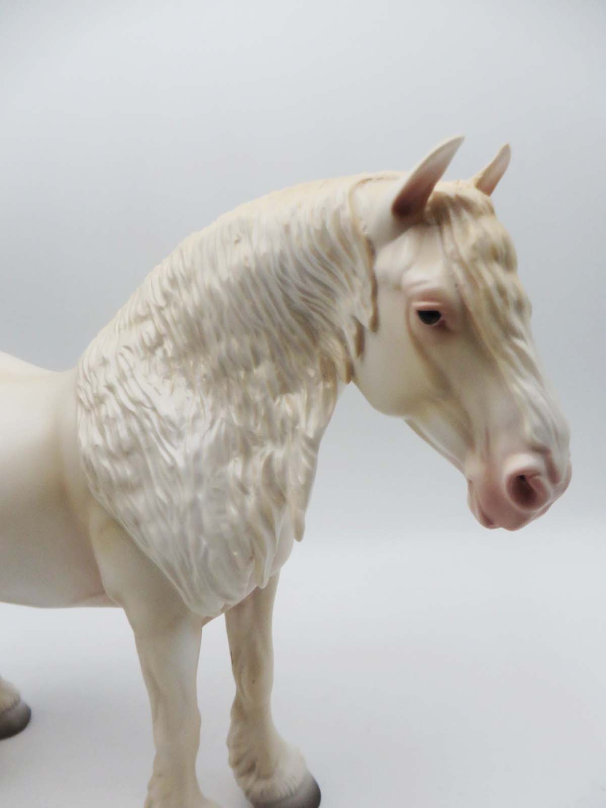 One Hundred Years Is Nothing - OOAK - American Cream Heavy Draft By Ashley Palmer - SHCF23